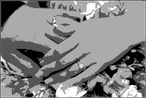 2bit.jpg (13183 bytes)