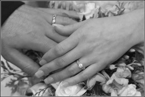 8bit.jpg (15939 bytes)