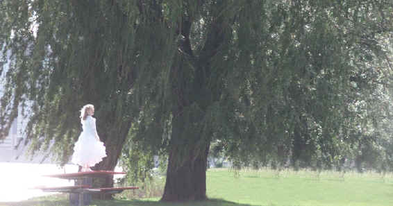 Girl Under Tree.jpg (66434 bytes)